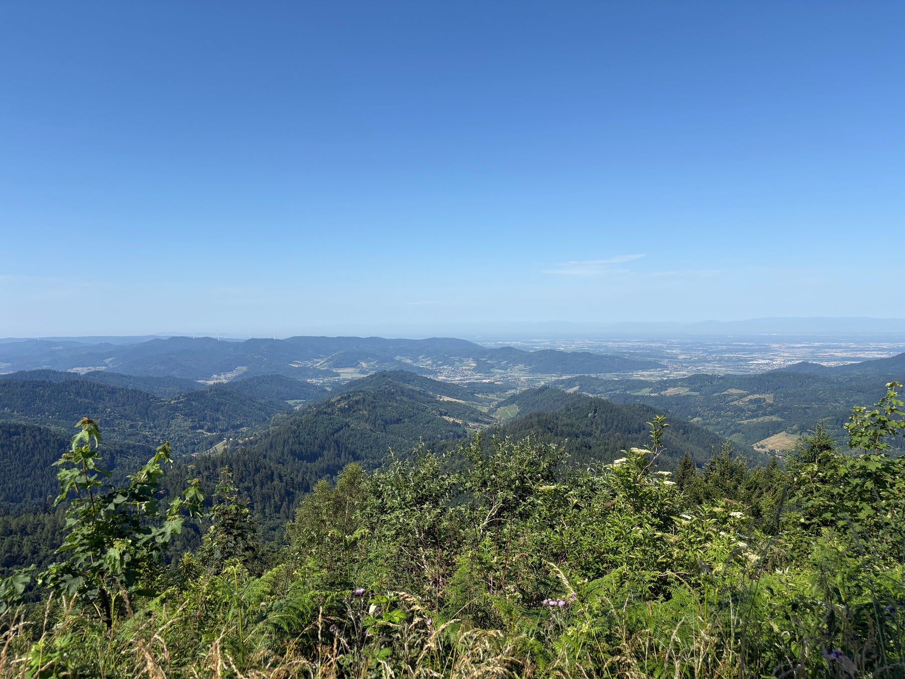 E-Bike Tour Gengenbach: Lothardenkmal, Mooskopfturm und Kornebene im nördlichen Schwarzwald