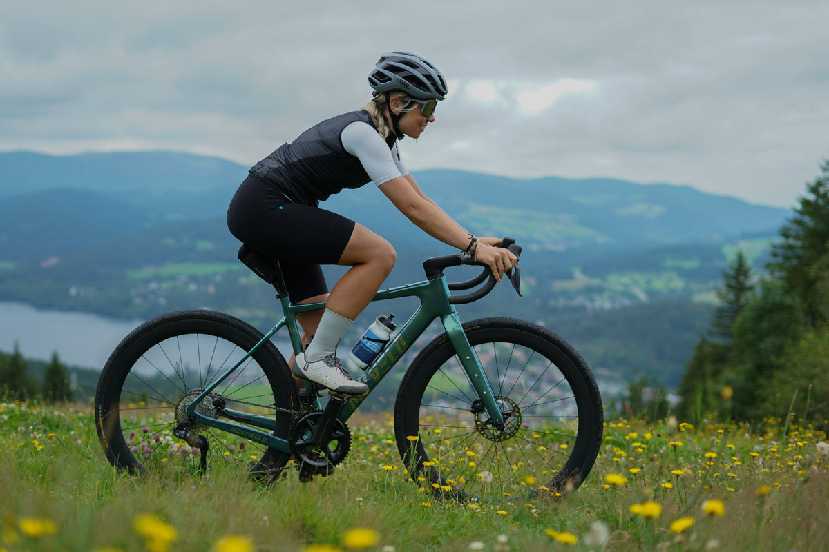 silikon handschuhe küche audi-a4 Bike Touring Electric Bikes Zubehör:Hinterer Korb