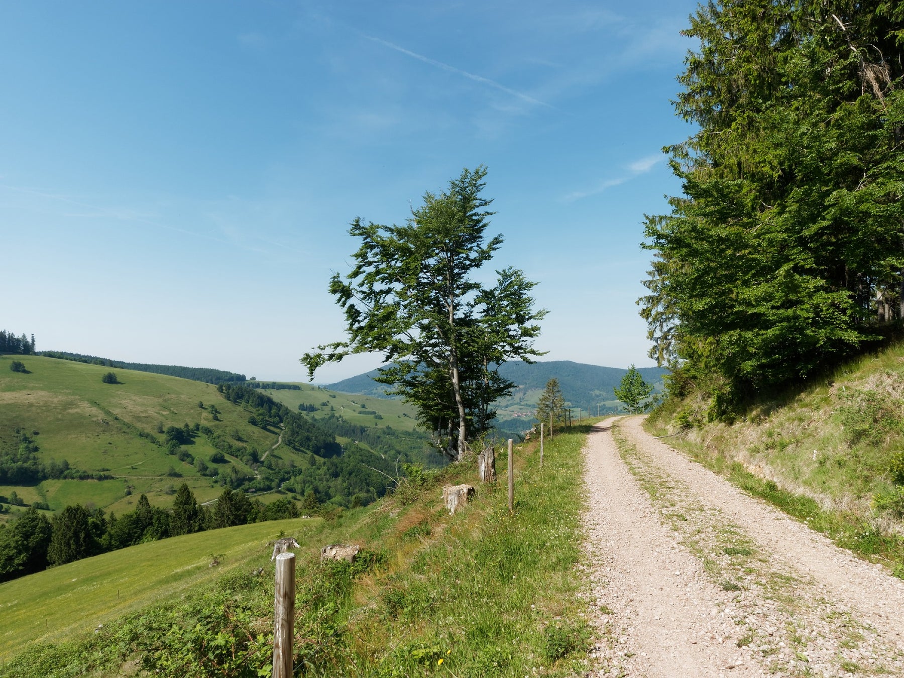 So hilft Radfahren beim Abnehmen: Die besten Tricks für Einsteiger