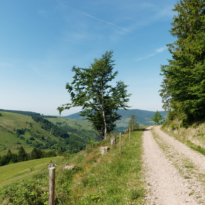 So hilft Radfahren beim Abnehmen: Die besten Tricks für Einsteiger