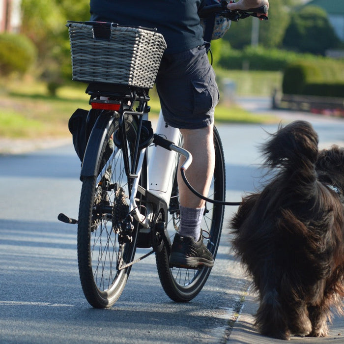 E-Bike & Hund: So klappt die Tour mit dem Vierbeiner