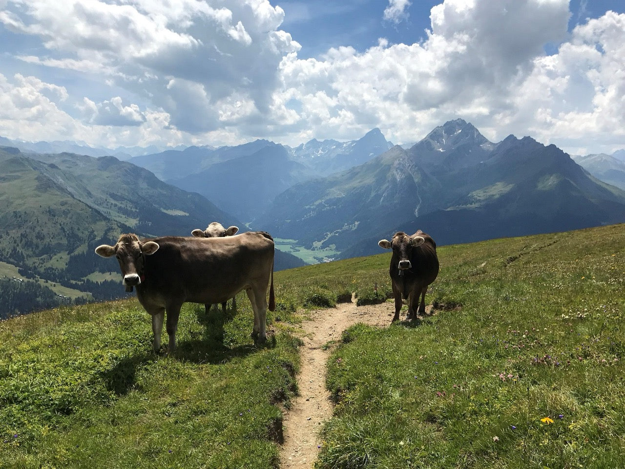 Glacier Bike Tour Schweiz: Ein E-Bike Abenteuer durch die Alpen