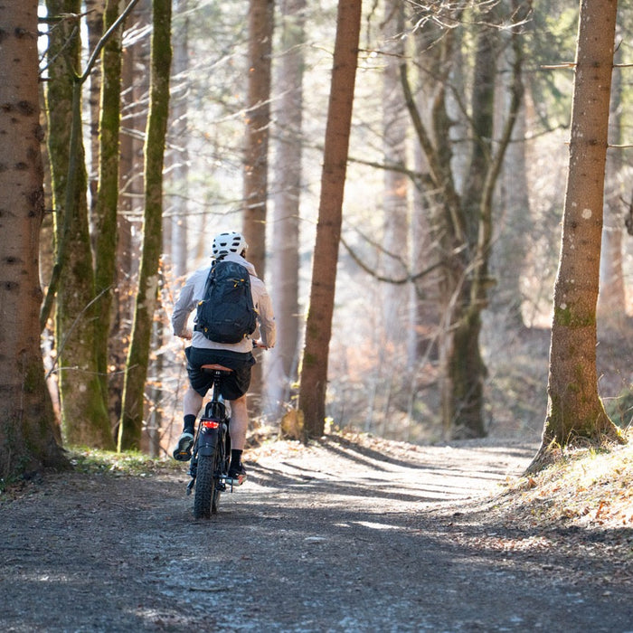 E-Bike für Pendler