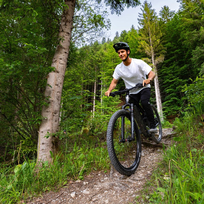 Downhill Bike: Das richtige Setup für rasante Abfahrten