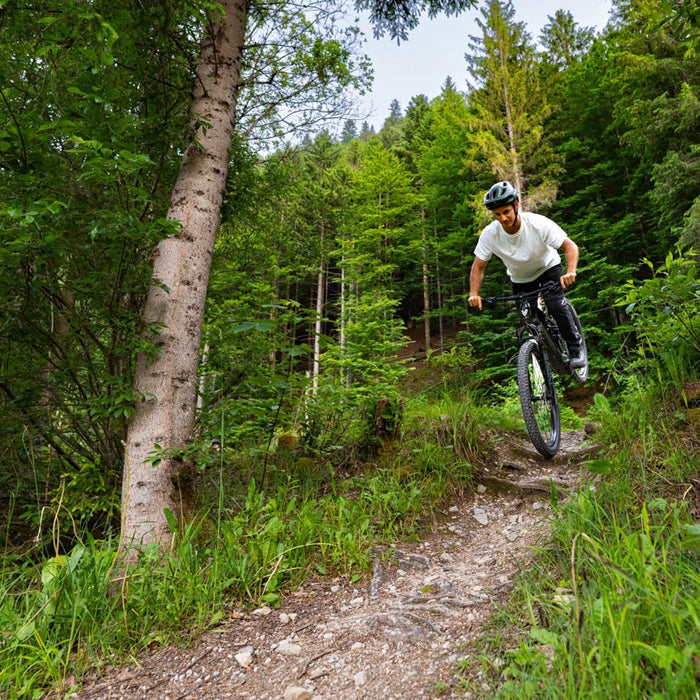 ABS-Systeme am Fahrrad