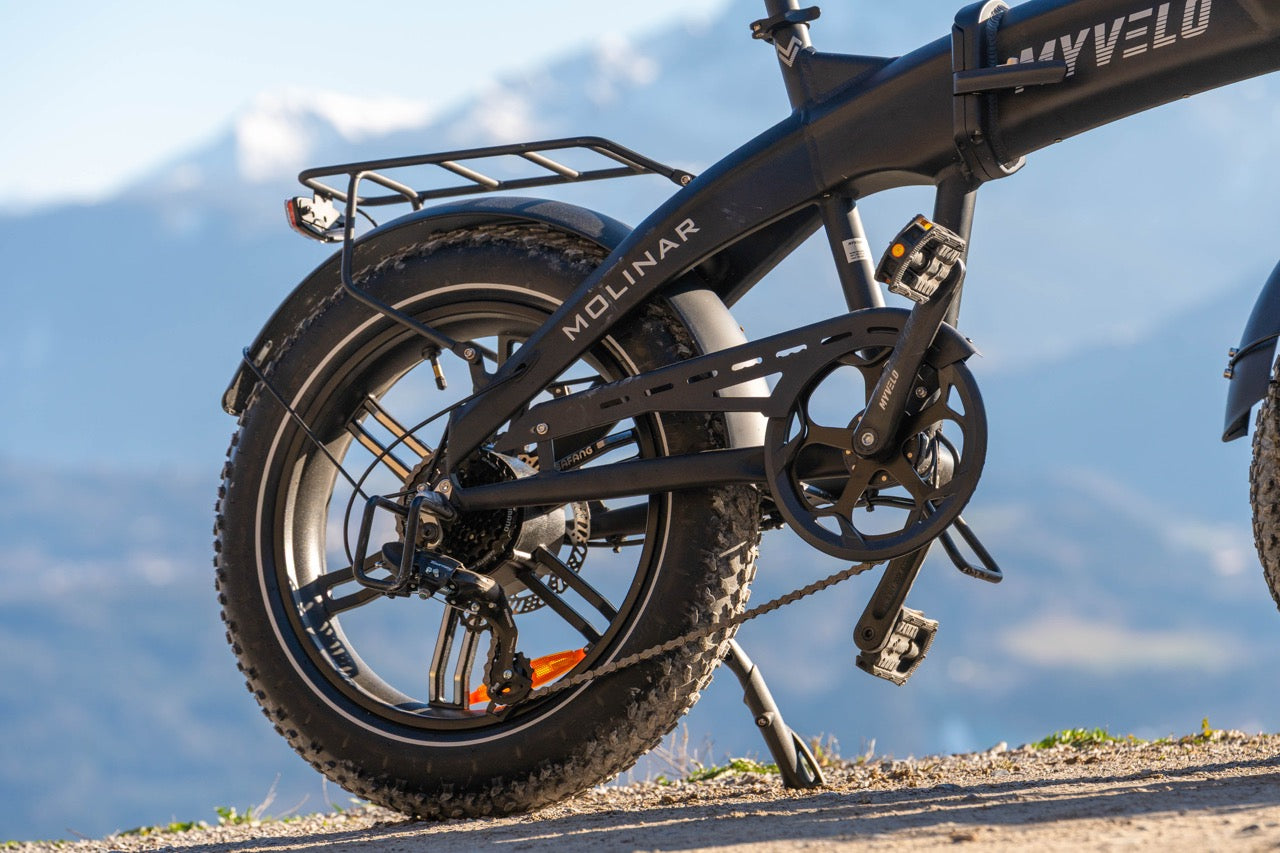 Elektrischer Antrieb beim E-Bike