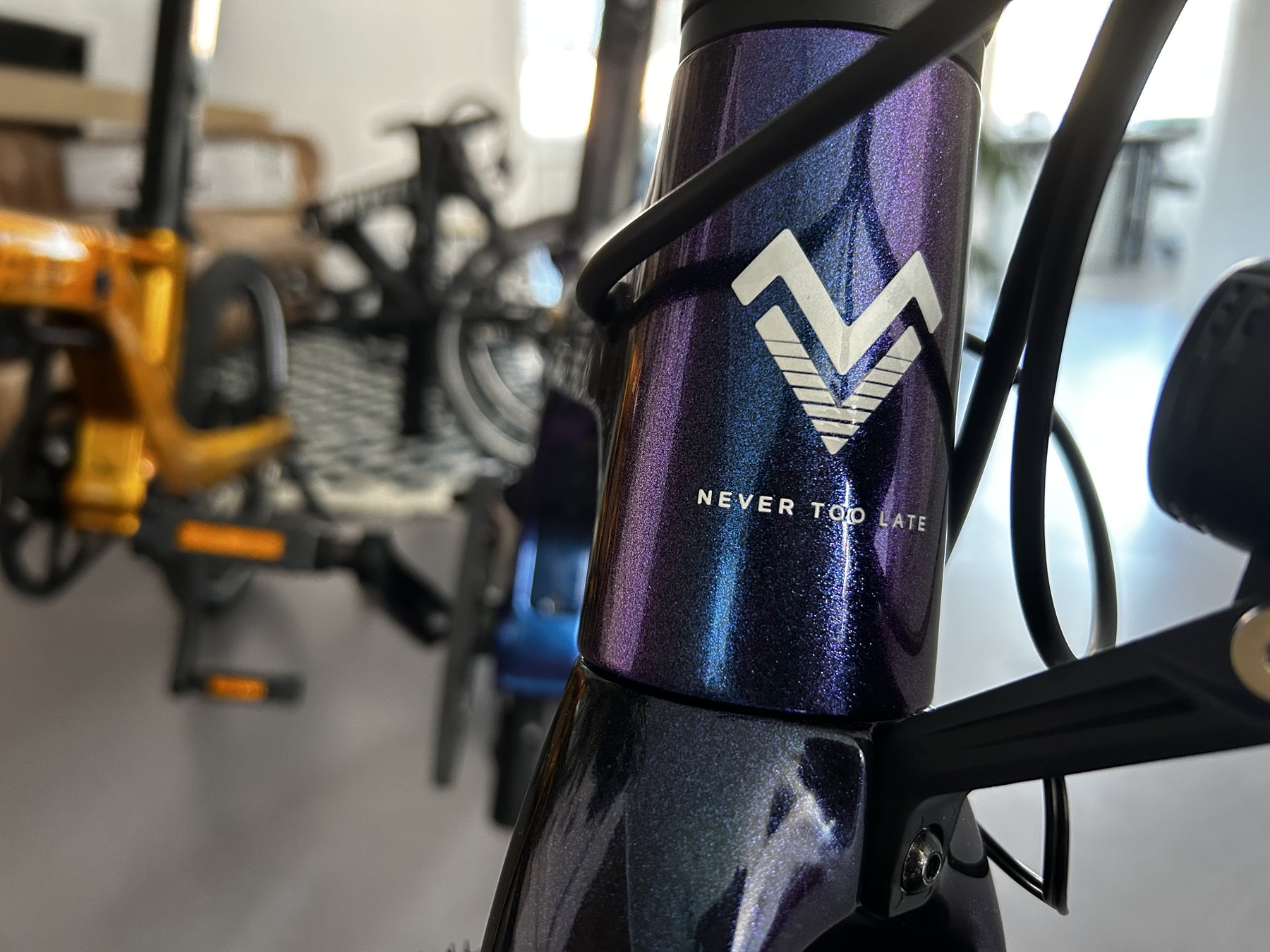 Elektro Klapprad Gewicht