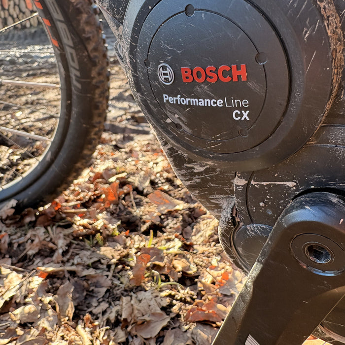 Bosch E-Bike Display Werkzeug-Schlüssel 