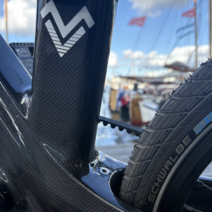 Light Assist E-Bike
