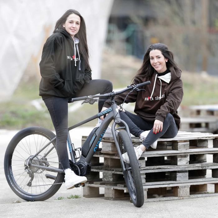 Gebrauchtes E-Bike kaufen