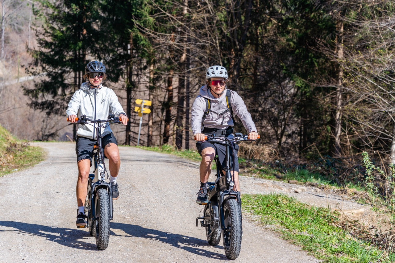 Elektroroller vs. Fatbike E-Bike