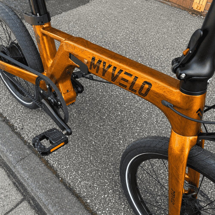 carbon elektro klapprad Leichtes Carbon Elektro-Klapprad Monza günstig im MYVELO Onlineshop — myvelo.de