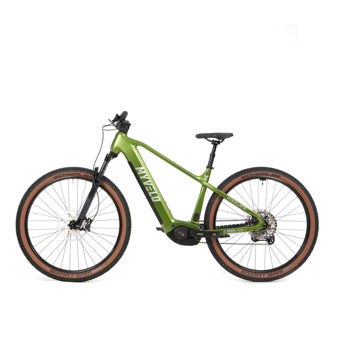 Himalaya E-MTB