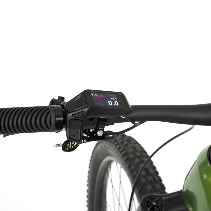 Stelvio E-Fully MTB
