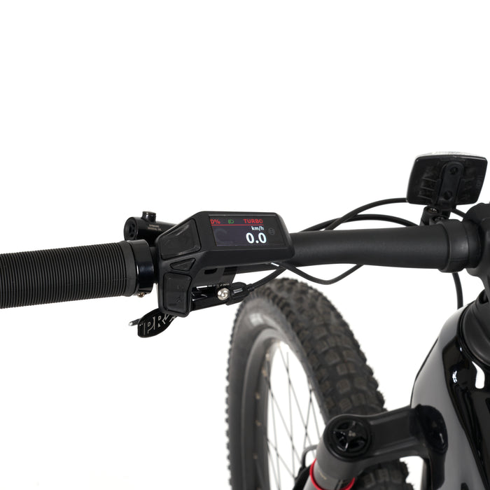 Stelvio E-Fully MTB