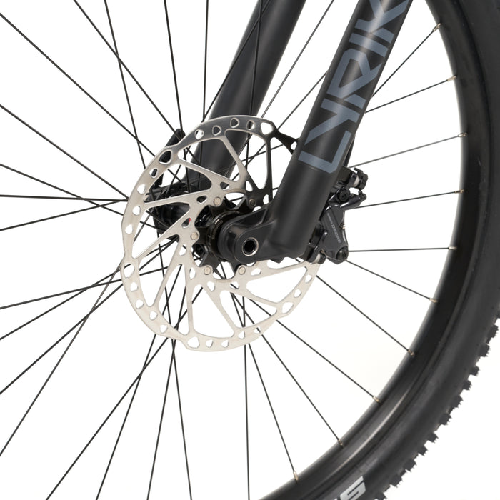Stelvio E-Fully MTB