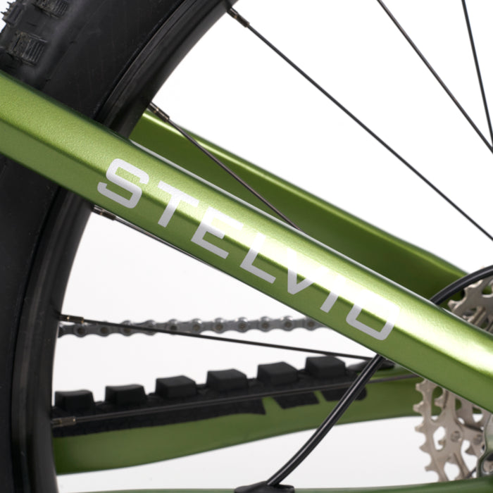 Stelvio E-Fully MTB