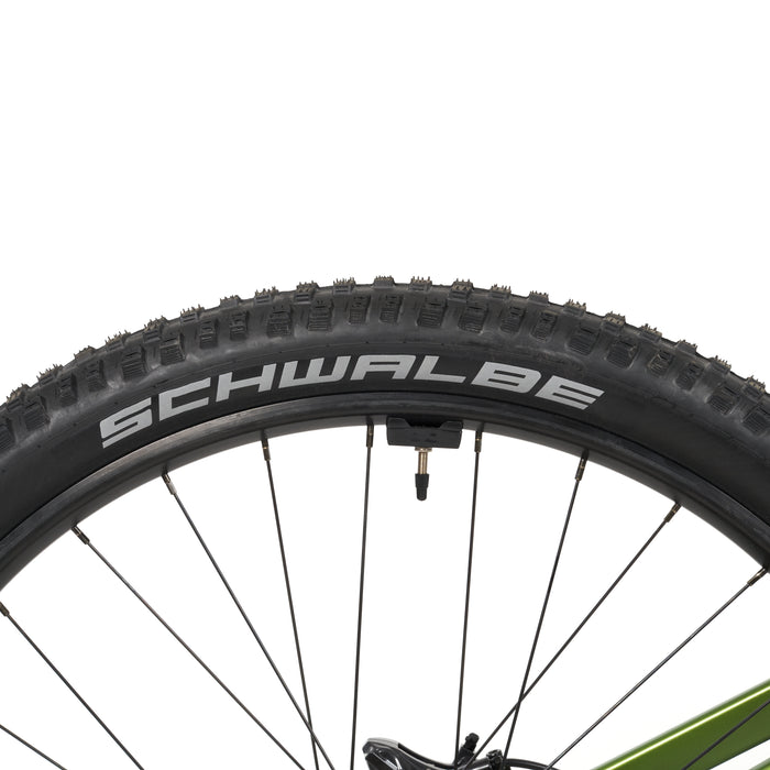 Stelvio E-Fully MTB