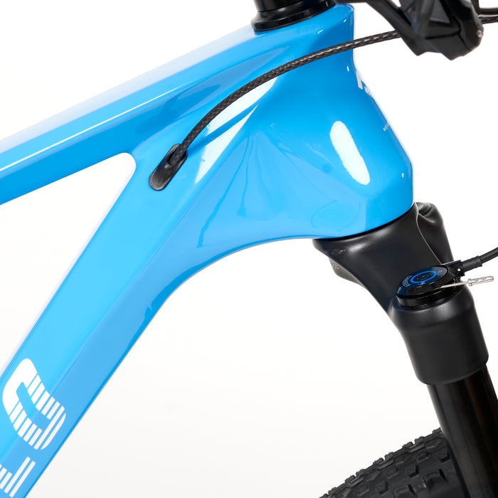 hardtail mountainbike rahmen MYVELO Vancouver Hardtail MTB