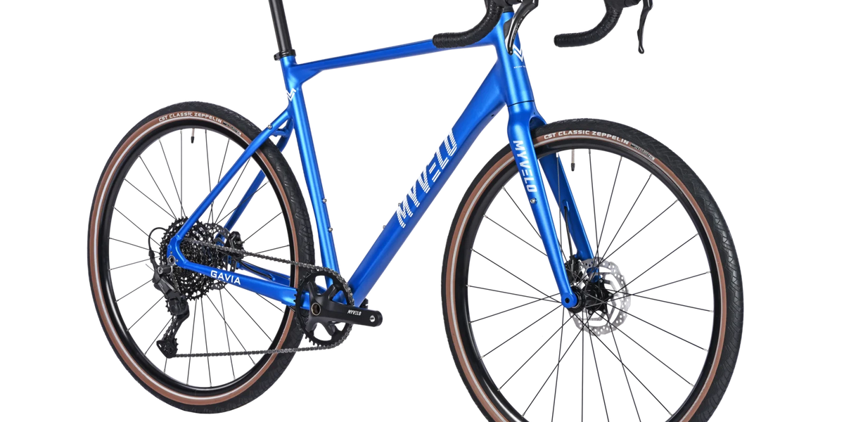 gravel bike polen Gavia — Batterie & Reichweite:60-Ah-Doppelbatterie (bis zu 160 Meilen) Welche Vor- und Nachteile Bambu Lab