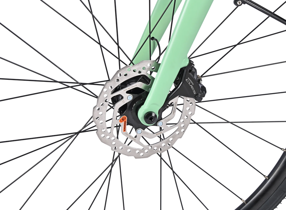 Macau Gravel Bike - myvelo.de