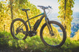 myvélo E MTB Denver Shimano Steps E8000 grey - myvelo.de